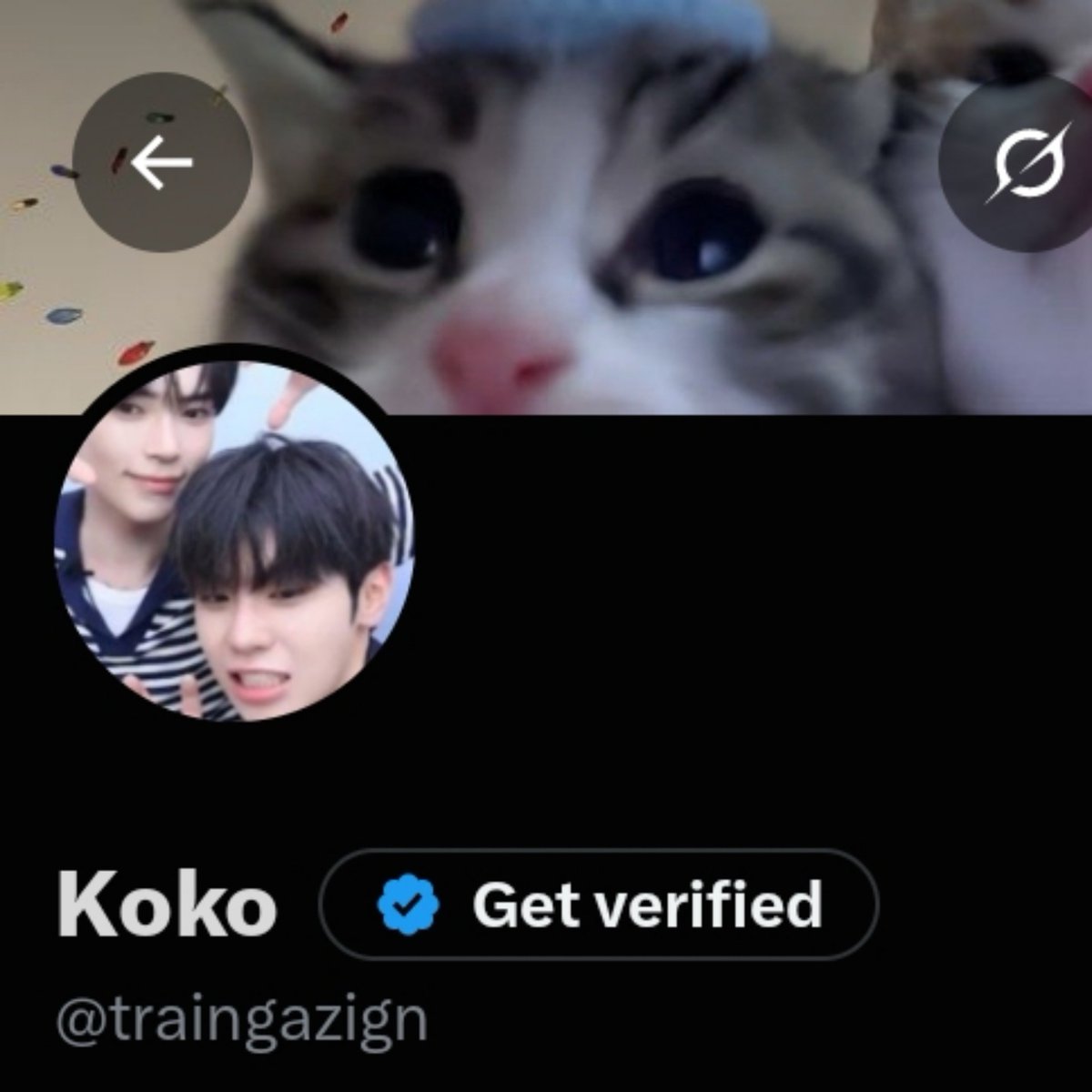 traingazign tweet picture