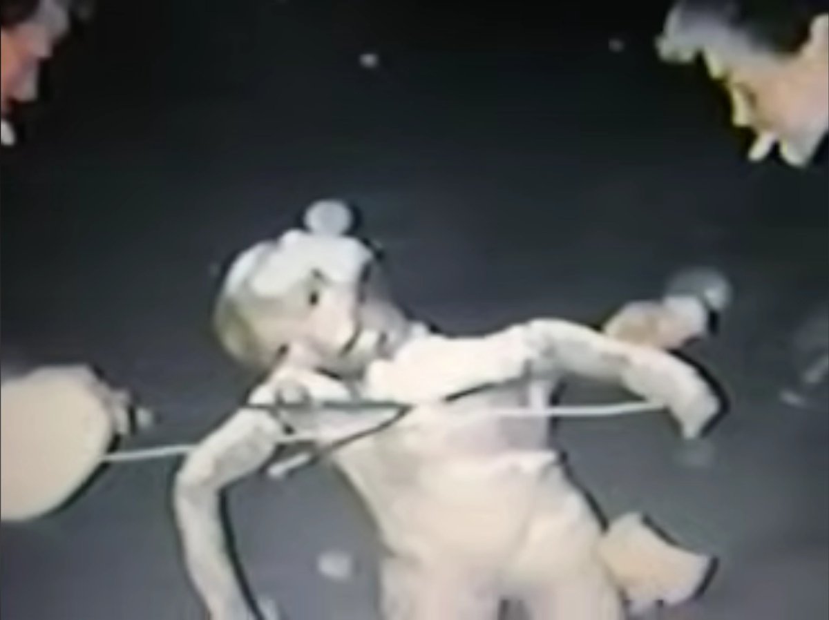 AlienArchiveX's tweet photo. In 1992, a lifeless E.B.E. was reportedly found near L’Annonciation, Quebec. Photographs were taken at the site and later preserved on VHS. The recording was uploaded to YouTube in 2008.
https://t.co/TAoYfVcuV3
#ufotwitter #aliens https://t.co/DqLDBI3WGT