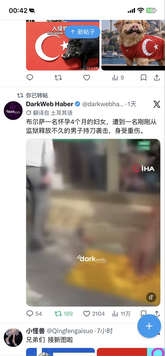 Qingfengaisuo's tweet photo. @yawhwhwhwhwu 你们为什么总是执着于侮辱其他国家的女人  是因为你们国家的女人都被你们杀完了吗 https://t.co/7draEA3PIH
