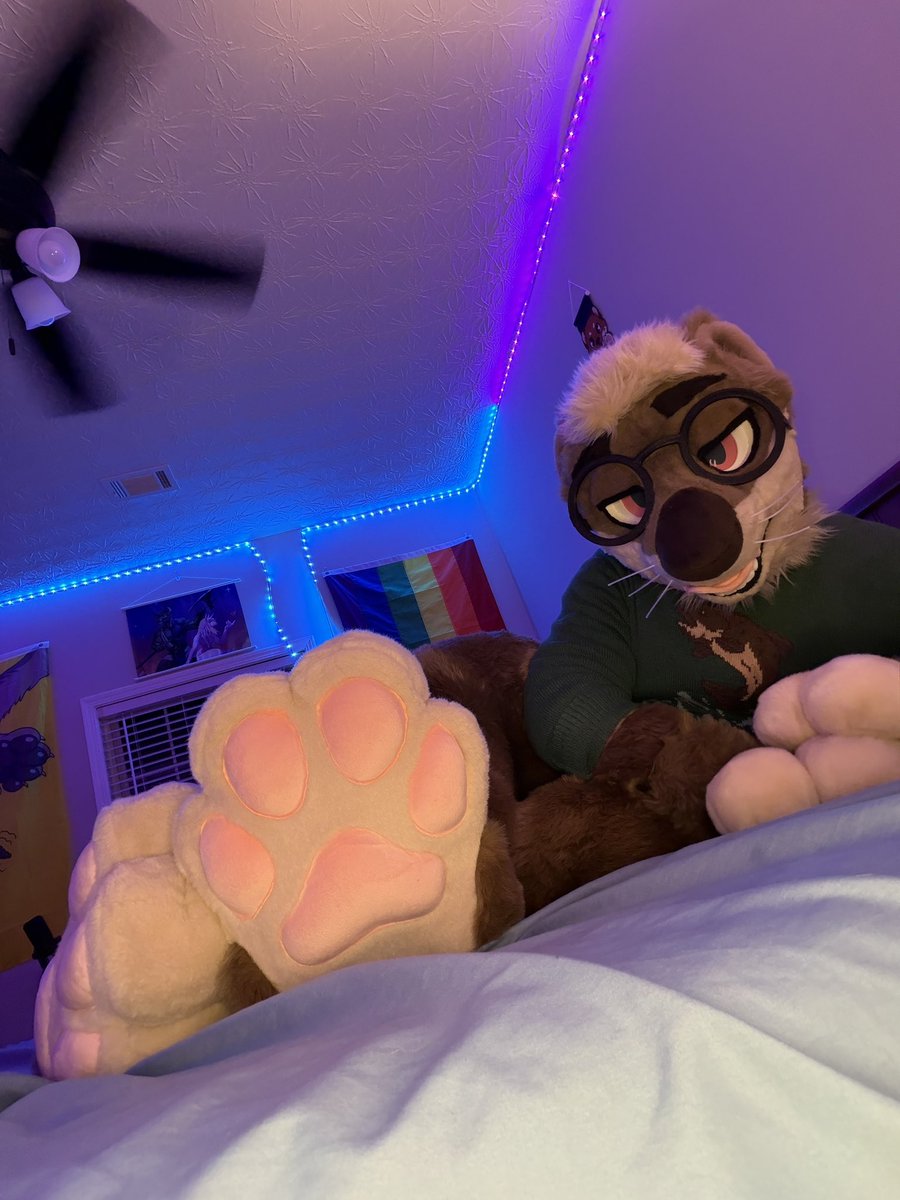TenoOtter's tweet photo. Finally the right weather to wear cozy sweaters and cuddle up in bed!! Happy #FursuitFriday :3 https://t.co/LeJuWmaBfH