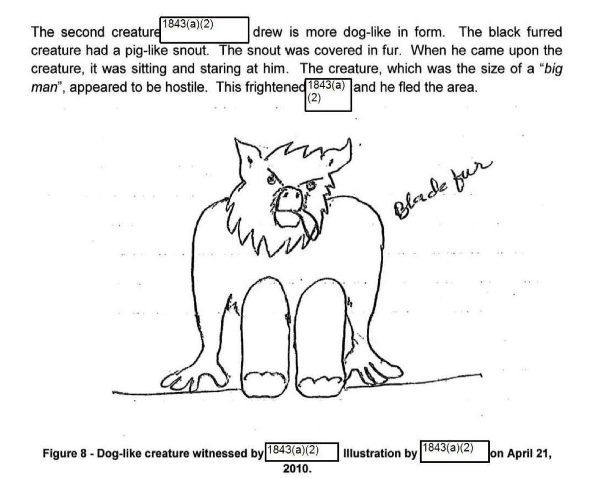 bigfoot_society's tweet photo. HOLY MACKEREL THE GOVERNMENT RELEASED THE SKINWALKER RANCH FILES. IT’S ALL ABOUT CRYPTIDS AND PORTALS AND DOGMAN AND AHHHHHHHHHHH IT’S HAPPENING!!!!!

https://t.co/gakX4MG5Ml https://t.co/a0CbrB4A03