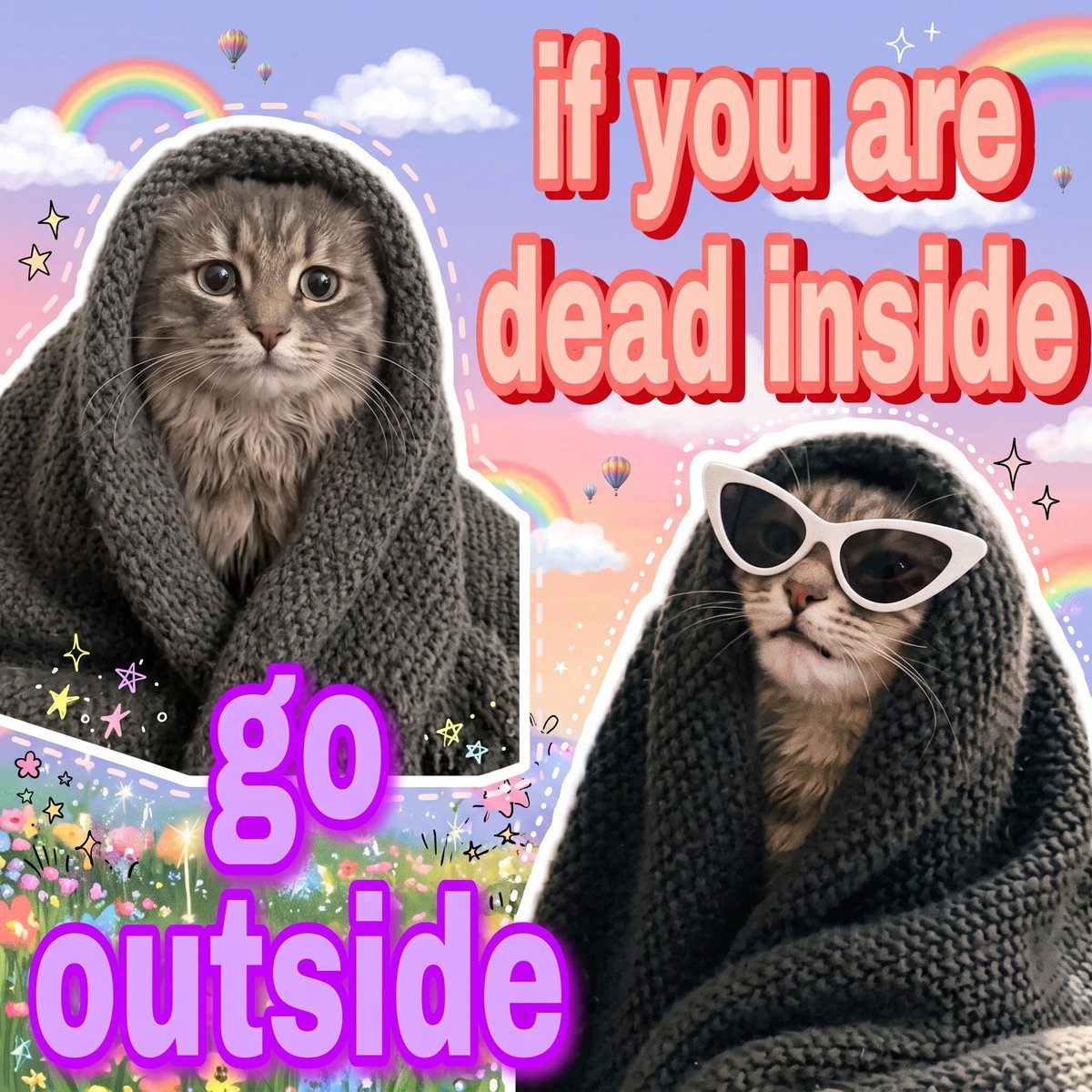 sillymeow4u's tweet photo. https://t.co/vzHZHURDtX