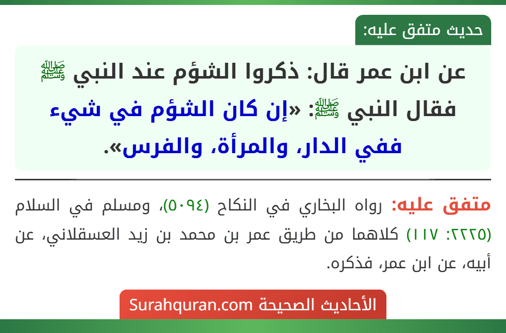 95lxc's tweet photo. @_soulscribe عزيزتي اية من حضرتج تسمين المثلية بالشذوذ حاولي تعرفين عن دينج اكثر وحتعرفين الي هو فعلا شذوذ صعدتي نزلتي مجرد ناقصة عقل ودين ونجسة منجسة حسب كلام رسولج واي وحدة تدعمج فهي ارهابية مثلج لان ماكو نسوية مسلمة هذا تناقض ومحاولة بائسة منج تتسترين بيها على دينج https://t.co/YIo7OOVnf6