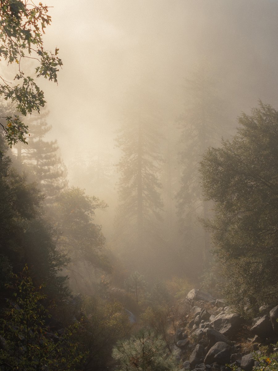 jeffmihaly's tweet photo. Waking up before sunrise in Yosemite hits different.

The reward: https://t.co/mtkm5oceKm