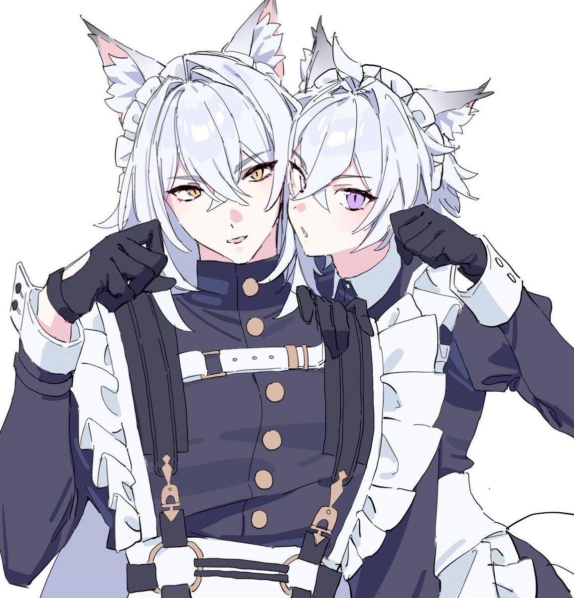 koutya_aruku's tweet photo. 🐈 https://t.co/mqGX1zKfN1