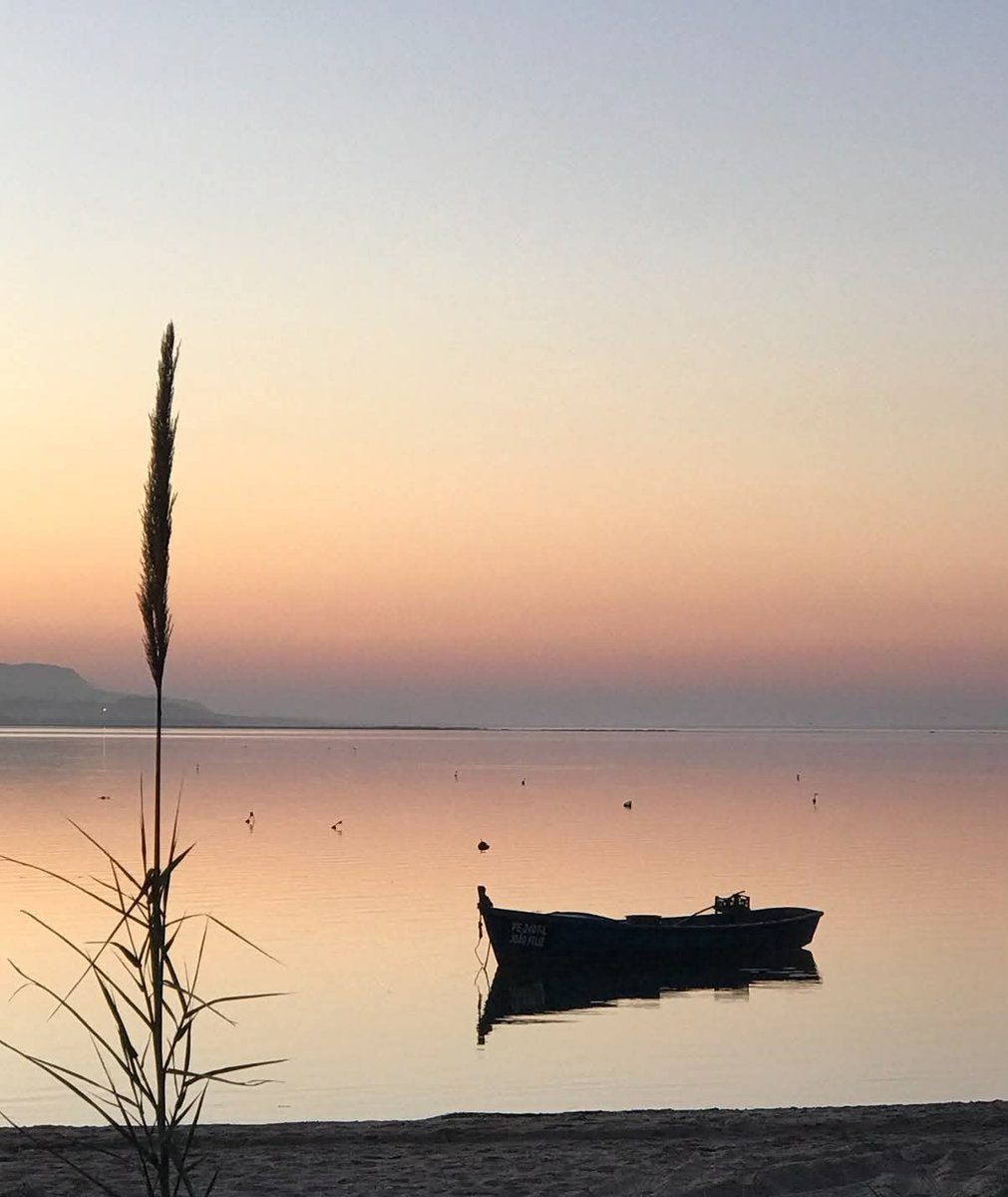 Leonor08159041's tweet photo. Sunset serenity 🧡

my 📸 https://t.co/52XVSYS973