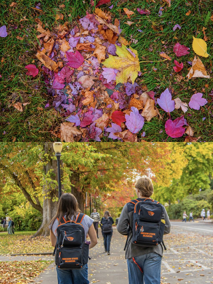 OregonState's tweet photo. Scenery included. 🍂

#OregonState https://t.co/oWo5QFAGet