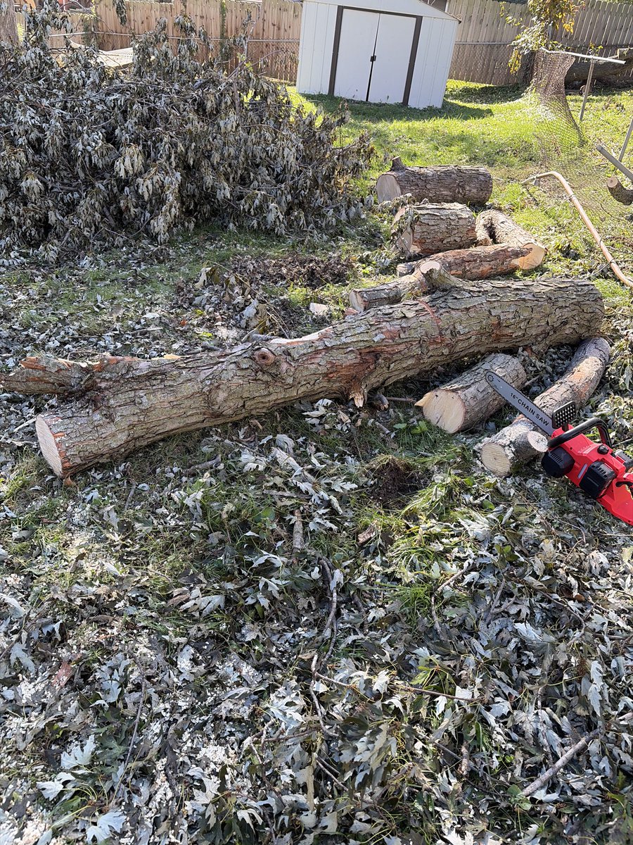 MsSinKC's tweet photo. Took the day off to finish cutting up the tree https://t.co/5NTN4PSGN7
