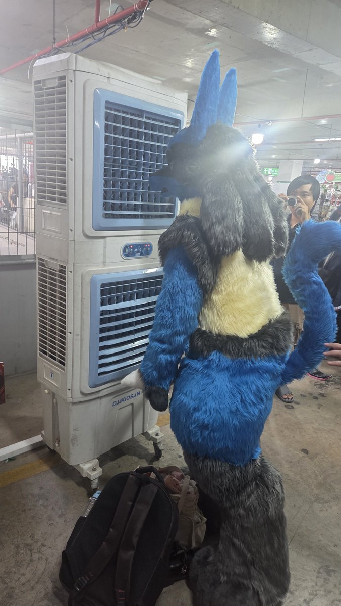 Berry_Veloce's tweet photo. Me can't stand the heat like this 😅 
#fursuitfriday #lucariofursuit #lucario #fursuit #pokemon https://t.co/nNl39wfV0V