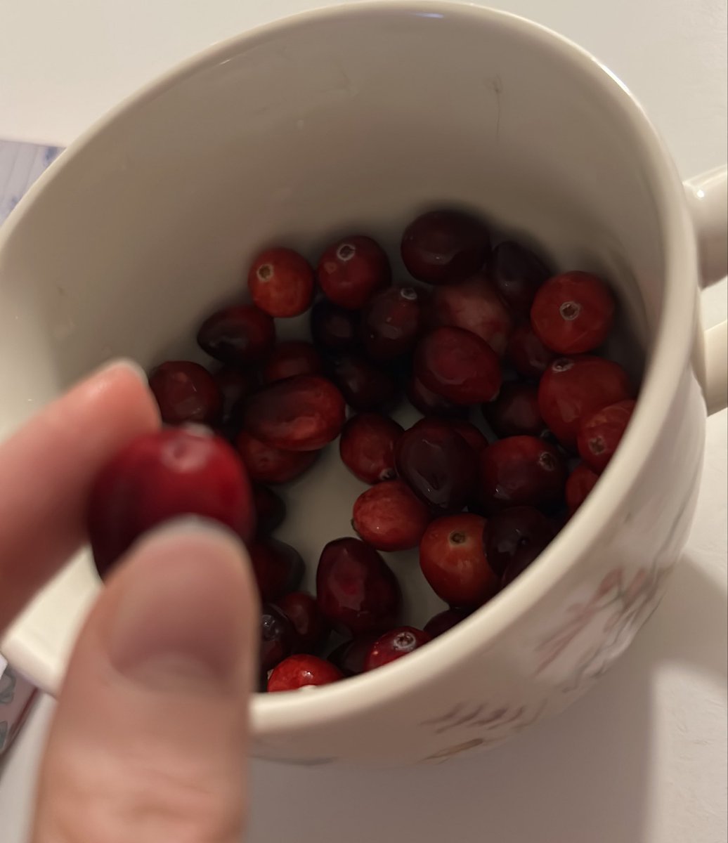 serenecoded's tweet photo. Bought cranberries and 🥴 https://t.co/US98rL3OKo