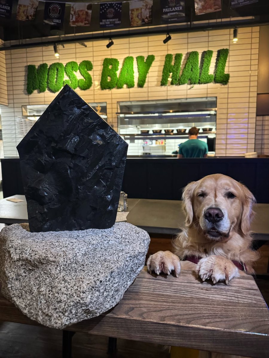 CougsFirst's tweet photo. Beer, pizza, and one very well-traveled rock. 😂🪨 Our road to the CougsFirst! Eastside Show took us through two more Coug businesses this week: Taps Growler House in Vancouver and Moss Bay Hall in Kirkland!
@WSUAlumAssoc https://t.co/LJ7AeqviMO