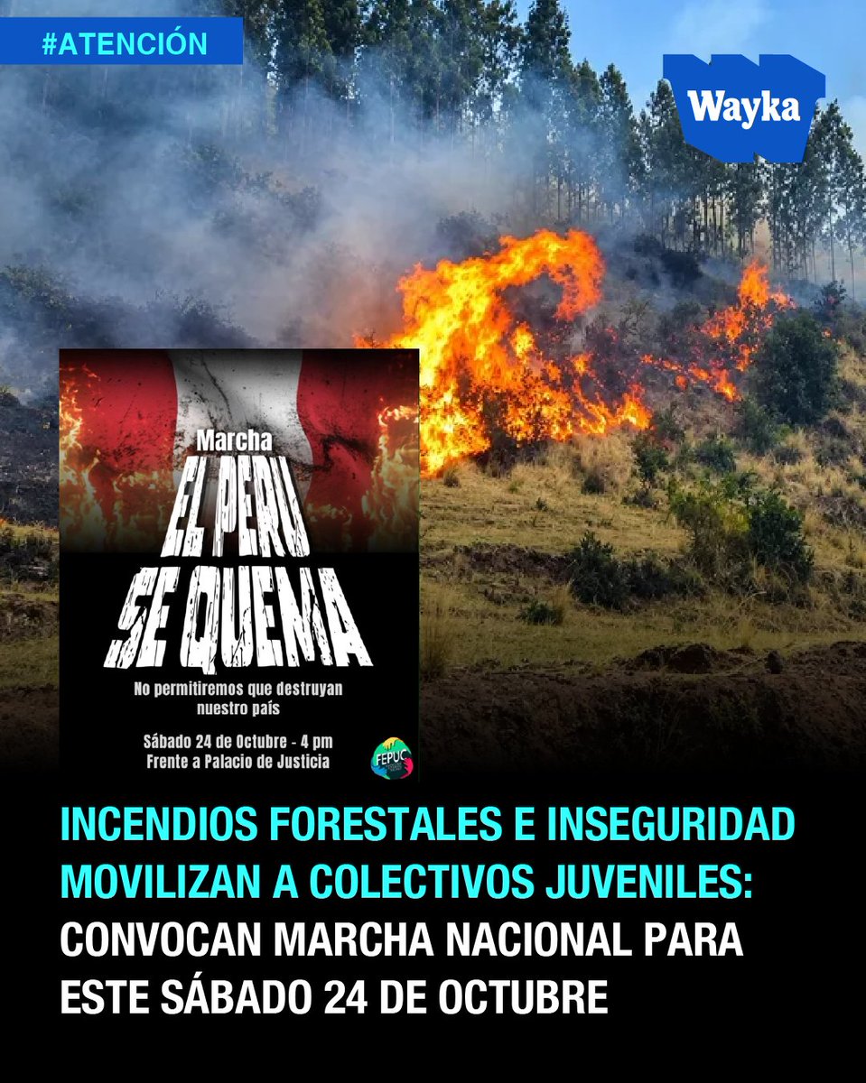 WaykaPeru's tweet photo. #Atención | 🚨🌳La protesta se realizará ante la inseguridad, las extorsiones y los incendios forestales que golpean distintas regiones del país. La movilización es convocada por diversos colectivos juveniles y organizaciones de la sociedad civil tales como FEPUC, Movimiento Generación Z, entre otros y buscará visibilizar la crisis ambiental y reclamar medidas concretas para proteger a las comunidades afectadas.

Entre sus demandas, los colectivos exigen movilizar equipos aéreos y terrestres para combatir el fuego, brindar atención integral y apoyo económico a las familias damnificadas, proteger a las comunidades rurales e indígenas y activar recursos de contingencia para la prevención y alerta temprana. También reclaman transparencia sobre los daños y cuestionan las leyes que, sostienen, facilitan el abuso de las tierras.

La movilización está convocada para las 4 pm frente al Palacio de Justicia bajo consignas contra el ecocidio y las facultades legislativas del Ejecutivo, los colectivos llaman a la ciudadanía a salir a las calles y exigir respuestas ante la emergencia ambiental y la crisis de seguridad.
