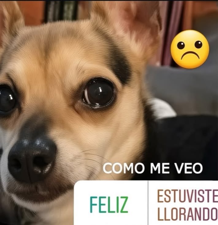 valenjkook_'s tweet photo. Hoy de nuevo tengo que ver el concierto en un live?🥲 https://t.co/lJAsbxDYZQ