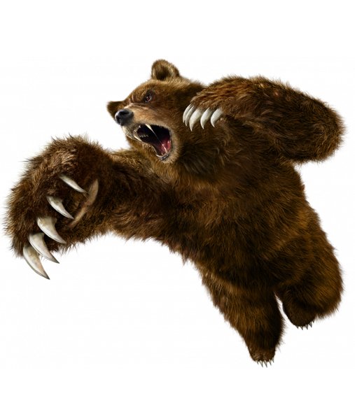 ChonmageFeuer's tweet photo. @cloudfags Я бы выбрал пиратскую TEKKEN 6, играл бы за Куму и сразился с настоящим медведем! https://t.co/sB6p7gLT5Y