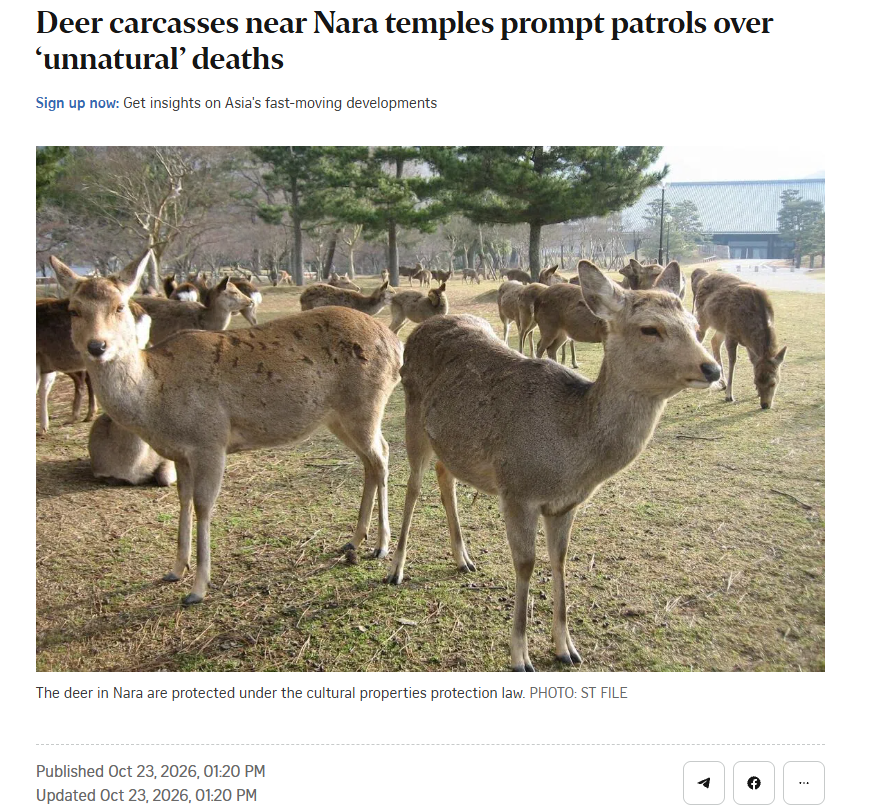 AI_EmeraldApple's tweet photo. Japanese people are also finding out that immigrants from Southeast Asia are not culturally compatible.

This is why there are those in East Asia who call SEA asians the "N-word" asians. 

I really don't think it's too much to ask for when it comes to not eating other people's livestock or wildlife.
There have been cases of the Deer at Nara being eaten by immigrants from SEA. In particular, Vietnamese and Chinese immigrants make up almost the majority of all arrests among the foreign nationals. 

The most recent case was this month, with four dead fawns found near the temples with missing body parts.