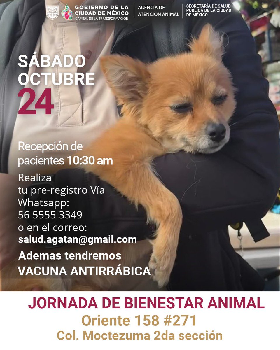 AgatanCdmx's tweet photo. Haz tu cita para esterilizar a tu animal de compañía, o te esperamos con vacuna antirrábica para tu perro o gato @GobCDMX  @SSaludCdMx @ClaraBrugadaM @AnaJVillagran https://t.co/j7FQyfO80N