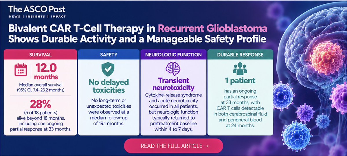 ASCOPost's tweet photo. 🧠 Updated phase I data show promising survival with bivalent #CARTcell therapy in recurrent #Glioblastoma. 

Among 18 patients, the median OS was 12 months, with no delayed-onset or unexpected toxicities observed. 

▪️@StephenBagleyMD | #ASCO26 

🔗 https://t.co/HhC2fhiBz0 https://t.co/5f6GFaPmAS