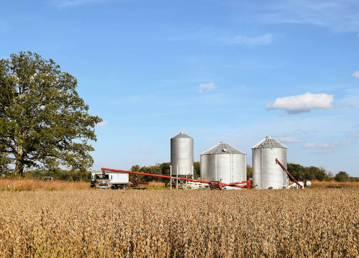 westernproducer's tweet photo. Sell high, then sell higher: A grain marketing strategy for managing risk -  https://t.co/gV3qQYTb5J  #westcdnag #cdnag https://t.co/xtdDyIOItq