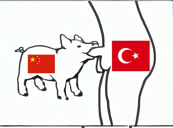 Ahmedis2006's tweet photo. @six0feetU Onların asıl vazgeçilmezi https://t.co/3Hvk6ab1RE