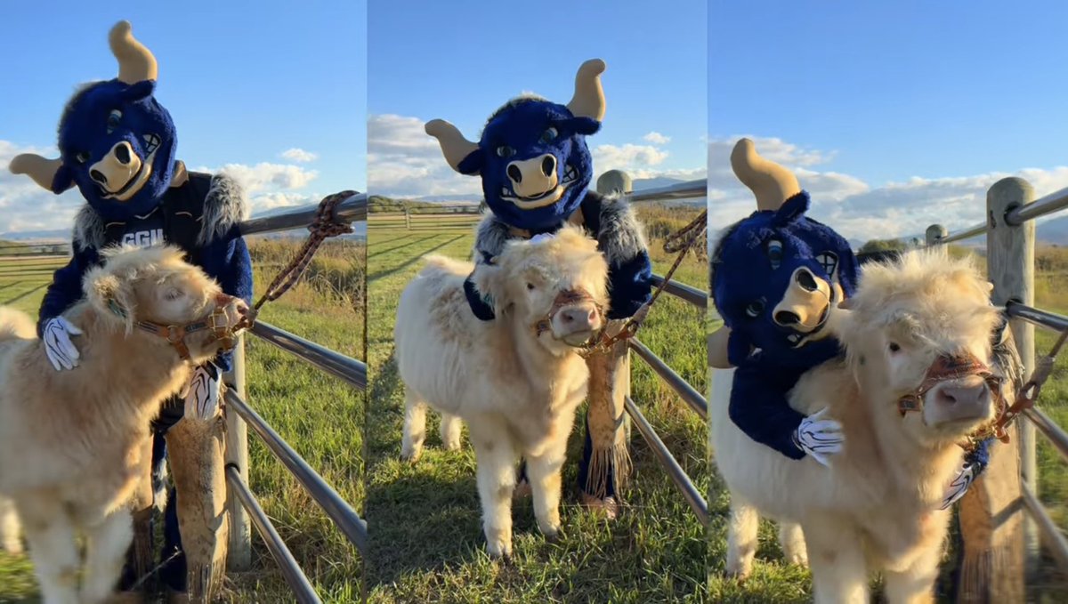 SickosCommittee's tweet photo. I would give my life for Thistle. https://t.co/KBULDmAcLk