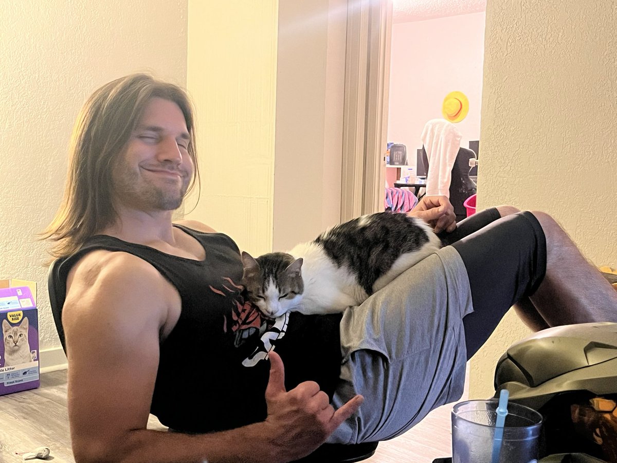 FruitBasketCats's tweet photo. We still haven’t figured out if Peach actually likes my roommate or if she just considers him to be a piece of sentient furniture https://t.co/9fHcT8t6fa