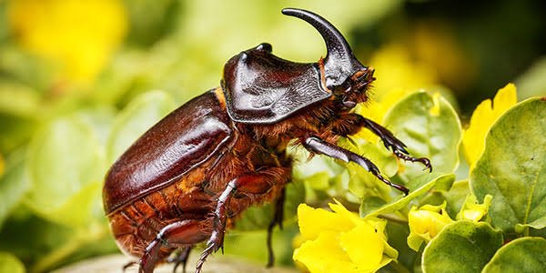 beetleoid's tweet photo. Genuinely the best animals ever made
The Beatles https://t.co/DvmGwHYG5K