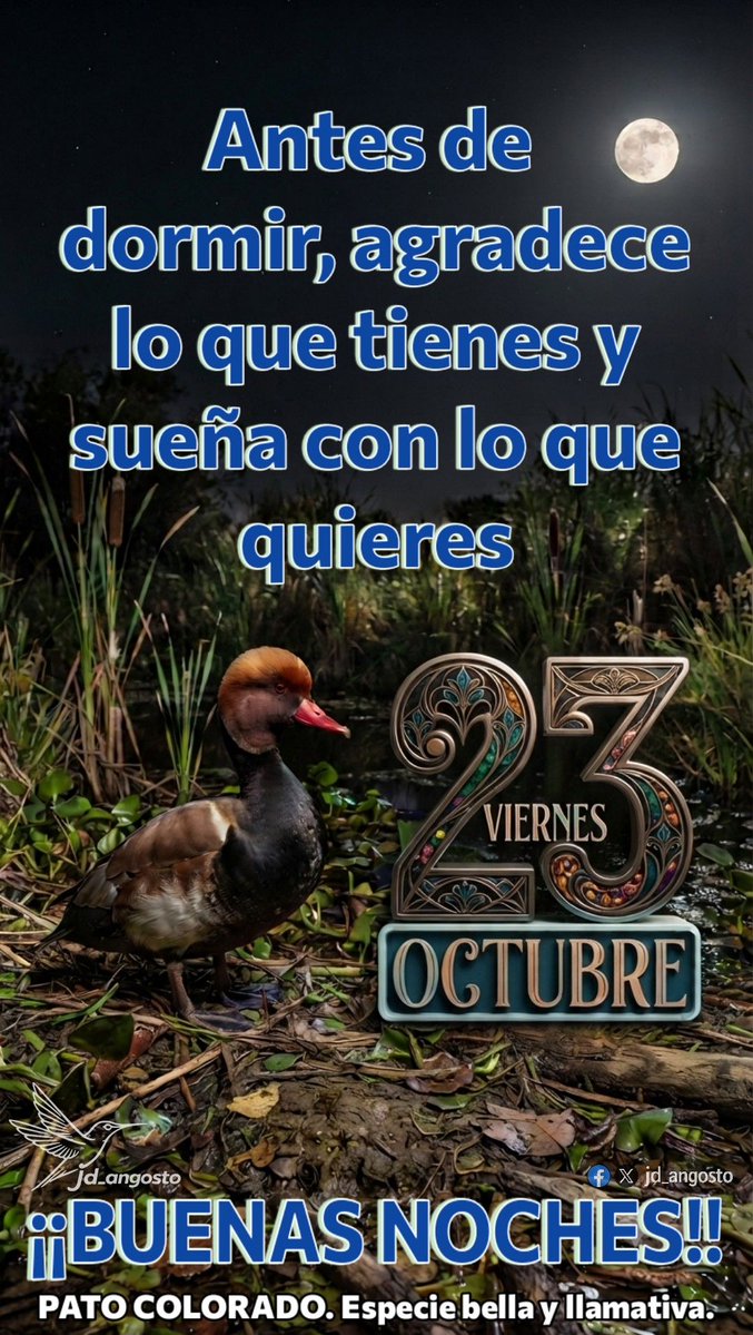1975Jdangosto's tweet photo. #BuenasNoches #DulcesSueños #Descanso #Noche #Pensamientos #Paz https://t.co/aVHGMb8IOu