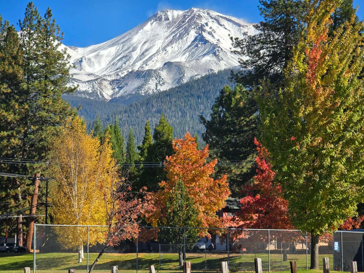 matthoffmanwx's tweet photo. It’s a fabulous fall Friday in Mt. Shasta! 🍁🍂🏔️

📸: Jai Ananda https://t.co/MrgaBhK0Sg