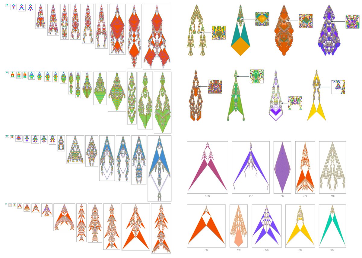 stephen_wolfram's tweet photo. Can we finally make a theory for Darwin's "Endless Forms Most Beautiful and Most Wonderful"? 
Introducing ruliobiology as a path to general theory in biology, starting with foundations for a theory of biological form
https://t.co/Bi9BTWl3J9 https://t.co/9cTeKXiVcU