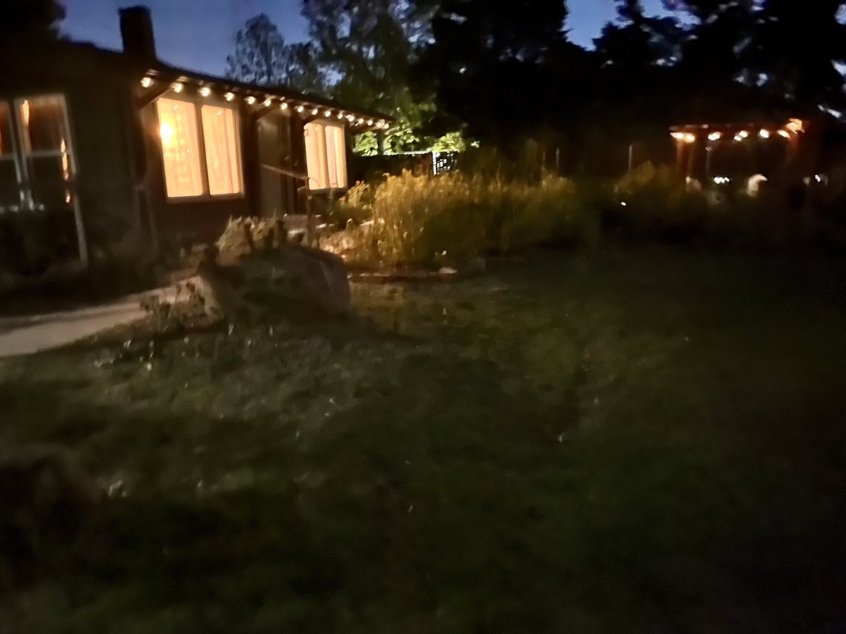 KenBlackwell155's tweet photo. My quaint log cabin AirBnB in OKC. Lighted gondola and inside. My kinda place https://t.co/6OV5vm12sg
