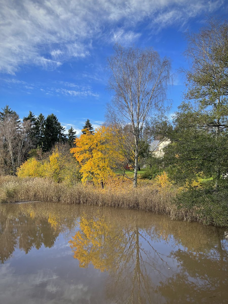 satunurmella's tweet photo. Yksi kaunis lokakuun päivä
***
17.10.26 Mynäjoki #river #Finland https://t.co/Cons0nJ8JB