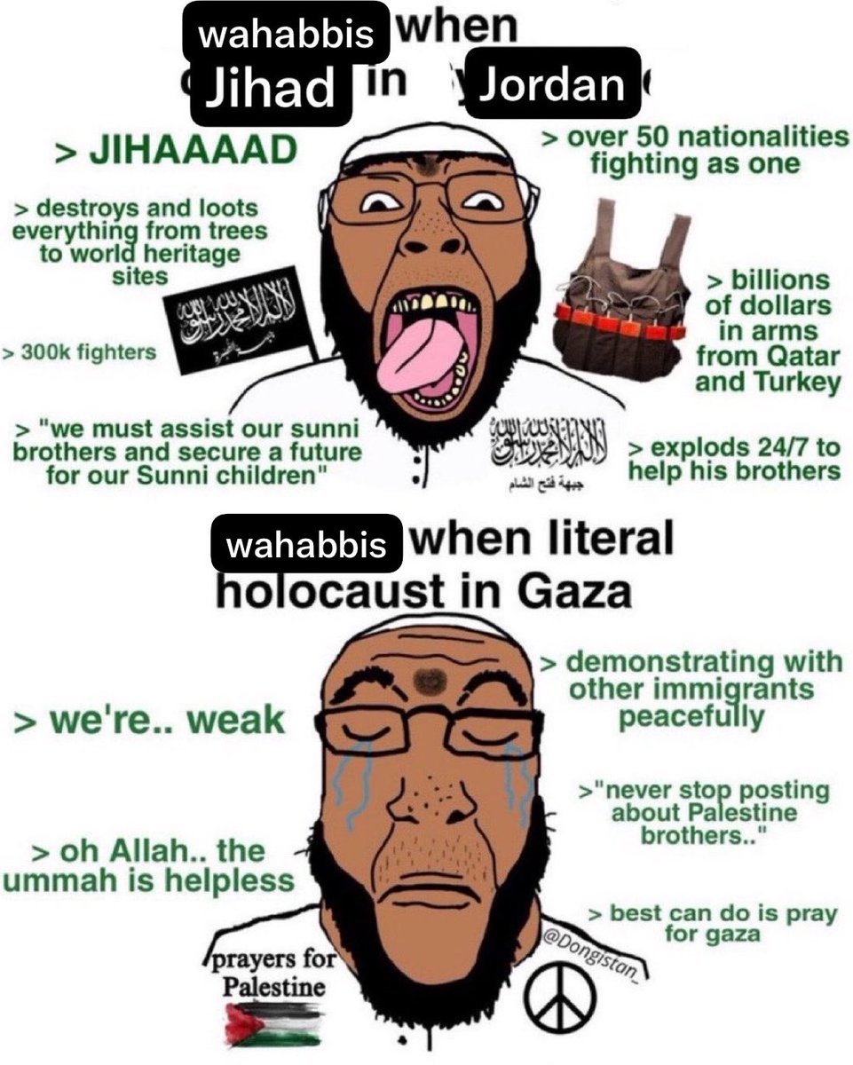 methadvocate's tweet photo. Every single fucking time you work your ass off to build racial unity within the Levant, and you see the efforts bear fruit, some stupid piece of shit wahabbi cocksucker ruins it all.

They always do the meme https://t.co/zfxVjp41io
