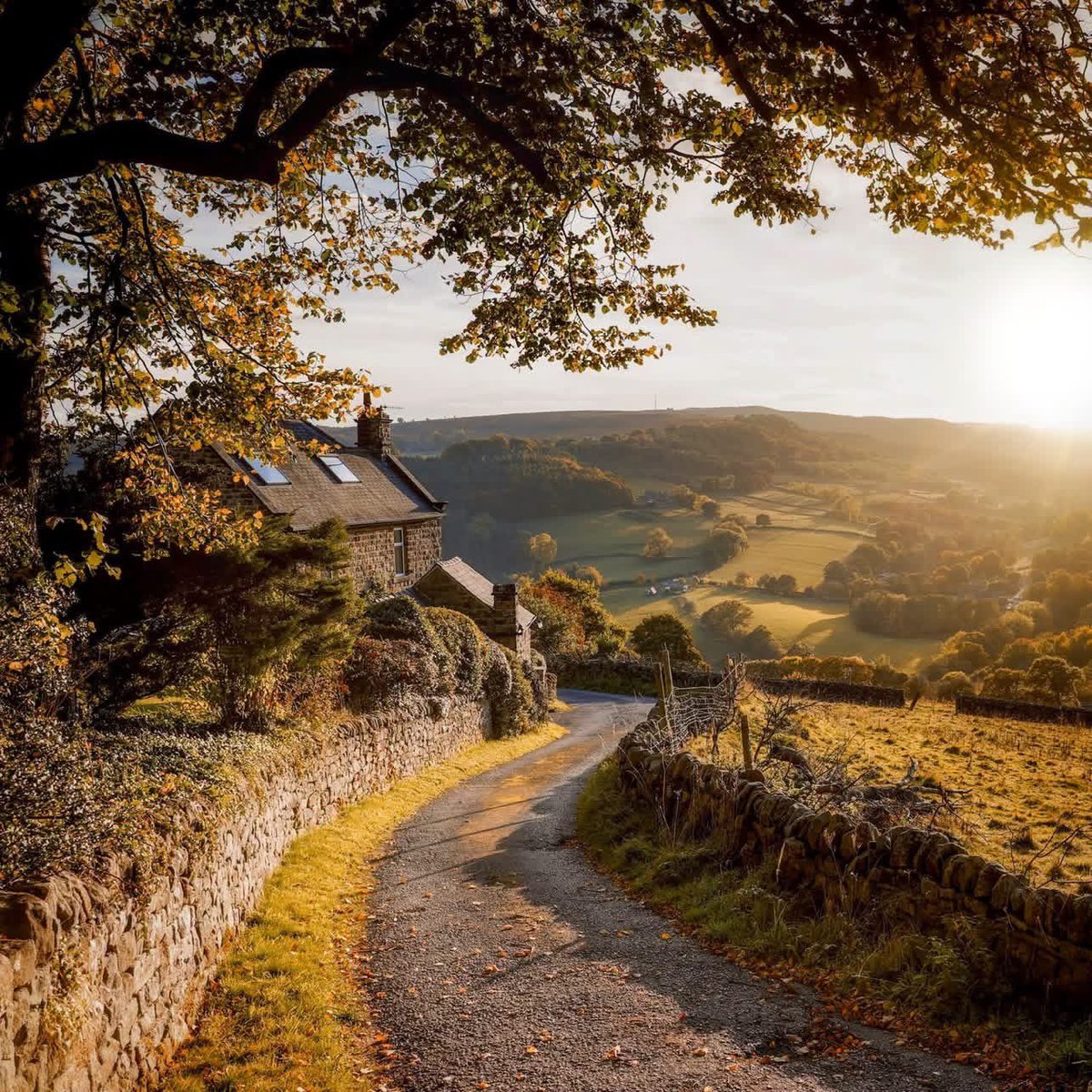 peaklass1's tweet photo. There's a certain satisfaction that comes from a weary feeling in your legs as you wend your way along the country lanes after a long day, with the sun setting over the hills ahead and lighting up the leaves. In the air I could smell woodsmoke and autumn, the only sounds the sheep and birds and my own footsteps, heavy with a quiet tiredness, knowing I'd earned a fire, a good book and a lot of cheese.

📍 Peak District, England