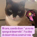 Photo by SeñoraPunkRockⓋ (@RubiaYPoderosa)