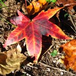 Photo by Maryland State Parks (@MDStateParks)