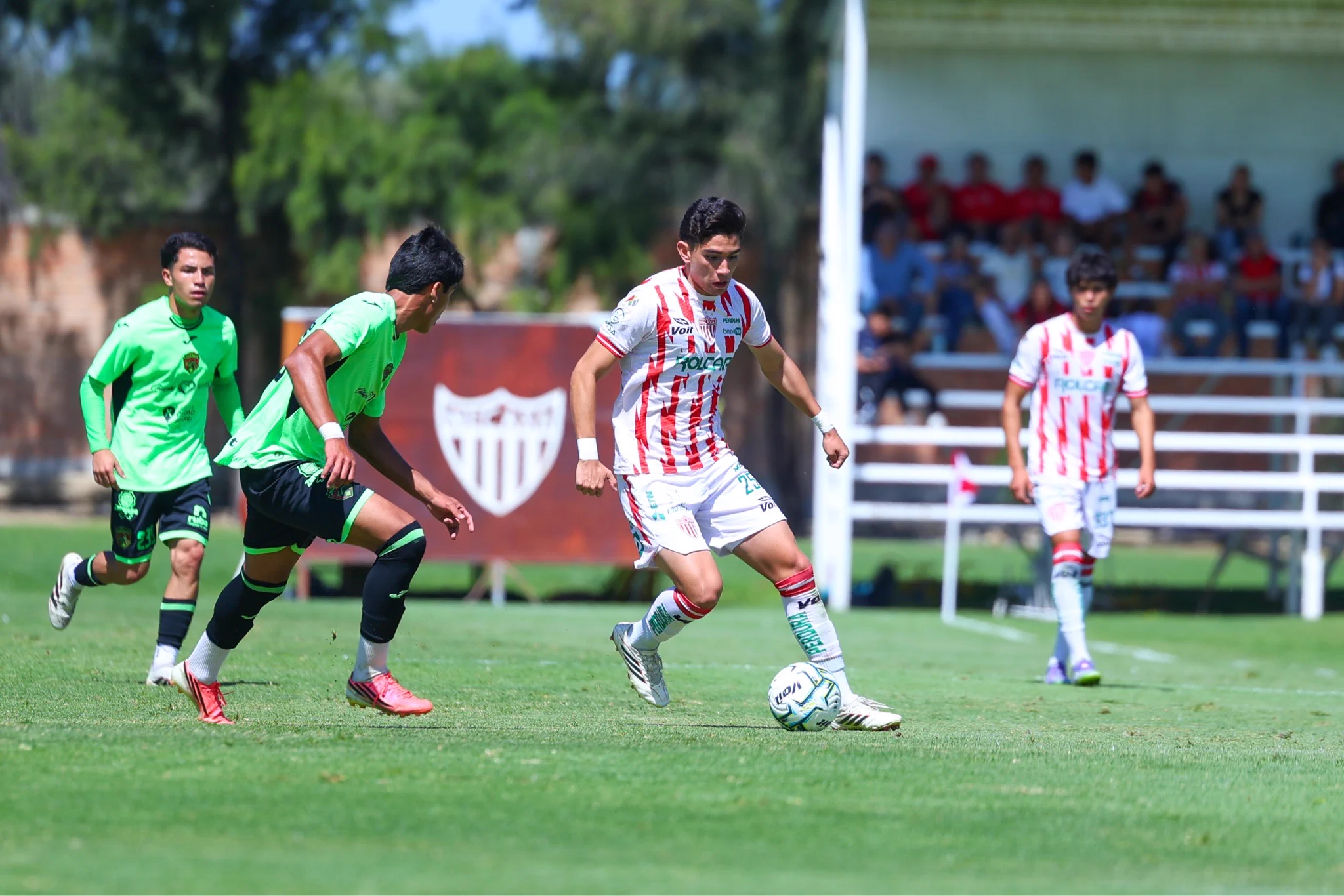 Club Necaxa on X: 