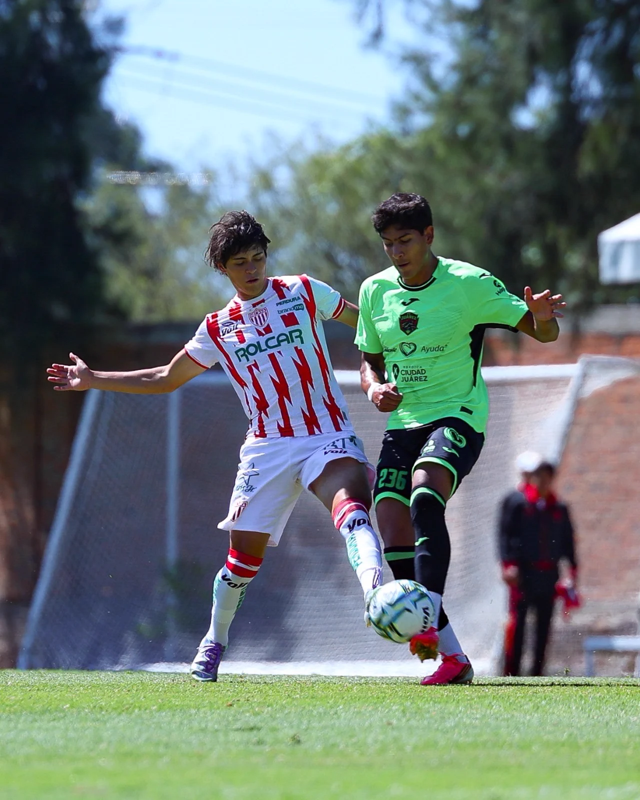 Club Necaxa on X: 