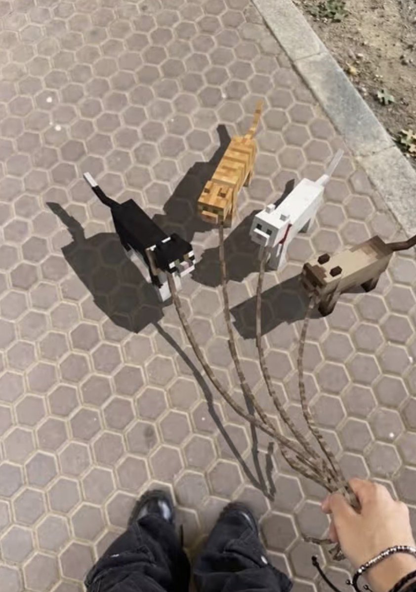 twaniimals's tweet photo. https://t.co/8nEYmx2yiv