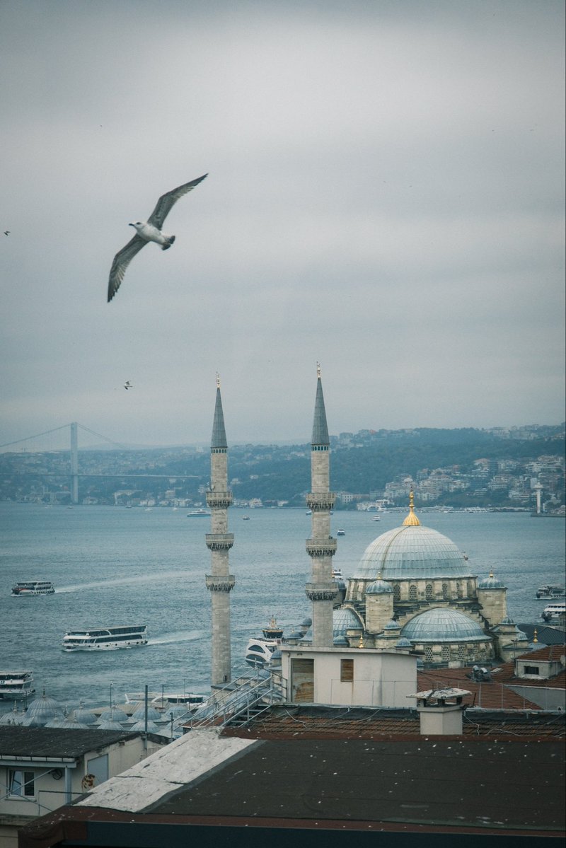 ffatihkucuk's tweet photo. Bir İstanbul fotoğrafı bırak https://t.co/v6HIyicrJI