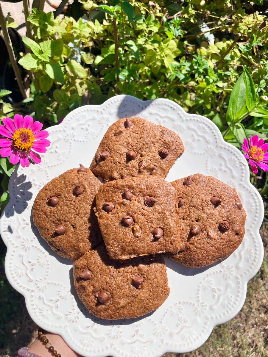 h1spetalfairy's tweet photo. banana chocolate chip cookie or brownie in disguise? 🍪🌷 https://t.co/kxYfTLV4oJ