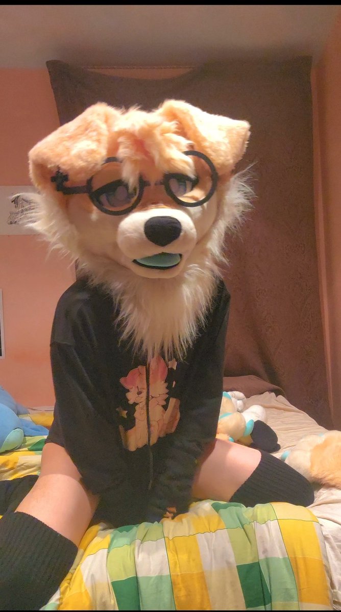InariKoKami's tweet photo. My tank keeps calling me slurs for not healing him when im literally just a dog.. 💔 

#FursuitFriday https://t.co/XgqixKyt1q