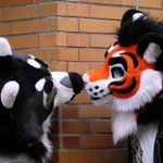 Photo by Tycho / Arush (@wereNwolf)