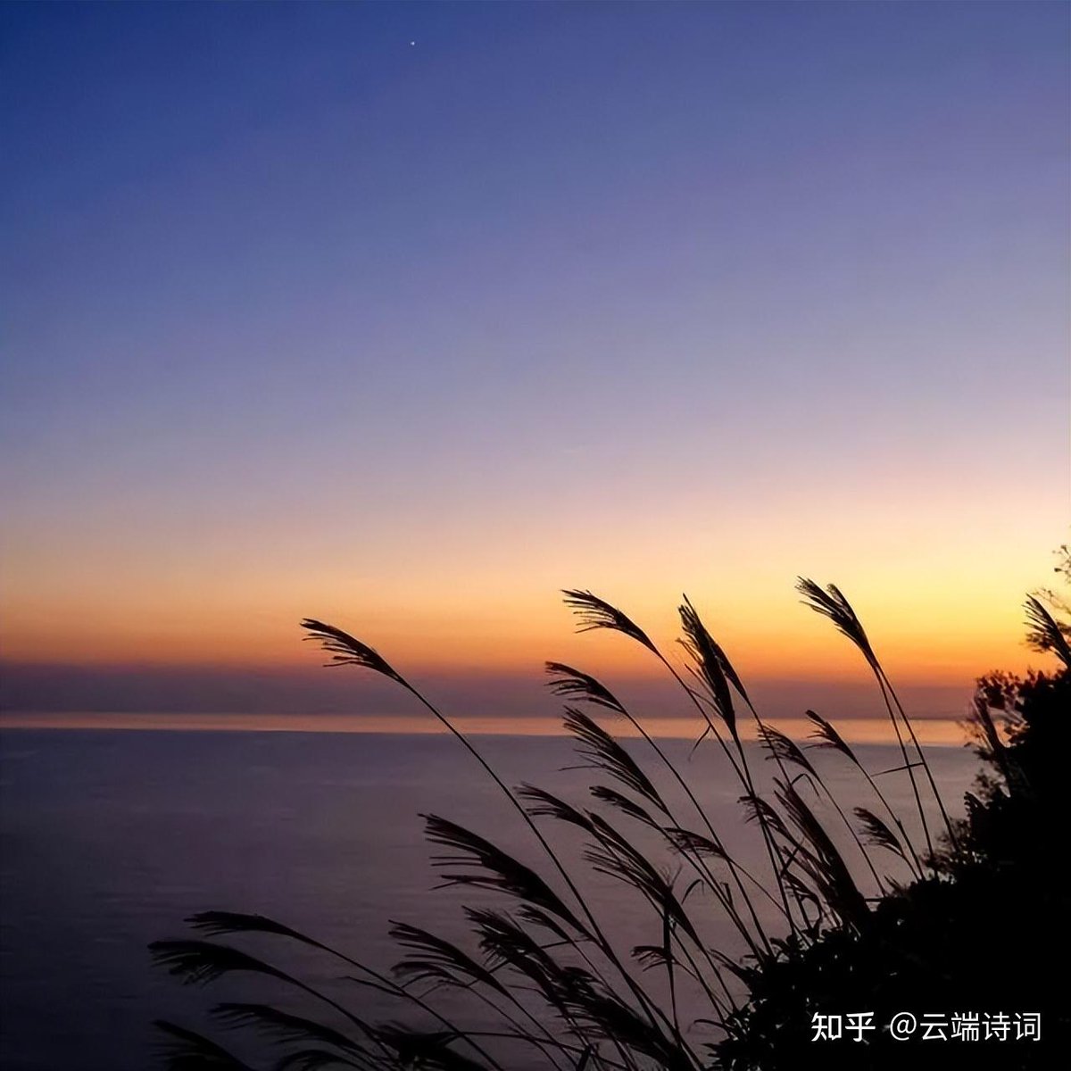 ams_bear's tweet photo. 浦の空に浮かぶ峦のような雲、時々匸かる秋の風が烦しい今日 https://t.co/gGLliaYao0