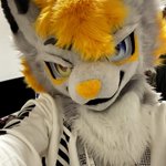 Photo by Nero 🔜 NFC (@MutedWoof)