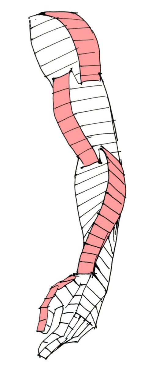 yuassamakoto's tweet photo. 腕の流れの単純化
これを考えるようになってから、空間の中で人体を描くのがだいぶ楽になった。 https://t.co/o1Qk58RJxc
