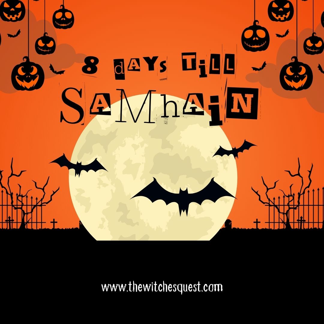 thewitchesquest's tweet photo. 8 Days Until Samhain! 🎃🖤

The autumn winds whisper, the candles flicker, and the veil between worlds grows ever thinner. 

Only eight days until we honor our ancestors and welcome the magic of Samhain! 🦇✨

#witchesofx #witches #thewitchesquest #samhain #samhainiscoming https://t.co/0hB9V8Qrq7