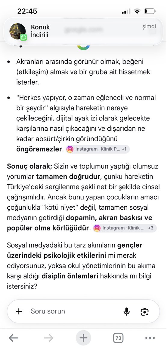 FurDlood's tweet photo. @alper152124 Valla hocam akım hakkında bir fikrim yok ama Google yapay zekasına sorunca bunlar çıktı bu doğruysa bence birkaç büyüğün bu kızları tutup yaptıklarının yanlış olduğunu söylemesi gerekli ilerdede karşılarına çıkacak bu videolar https://t.co/U2awW6Du8m