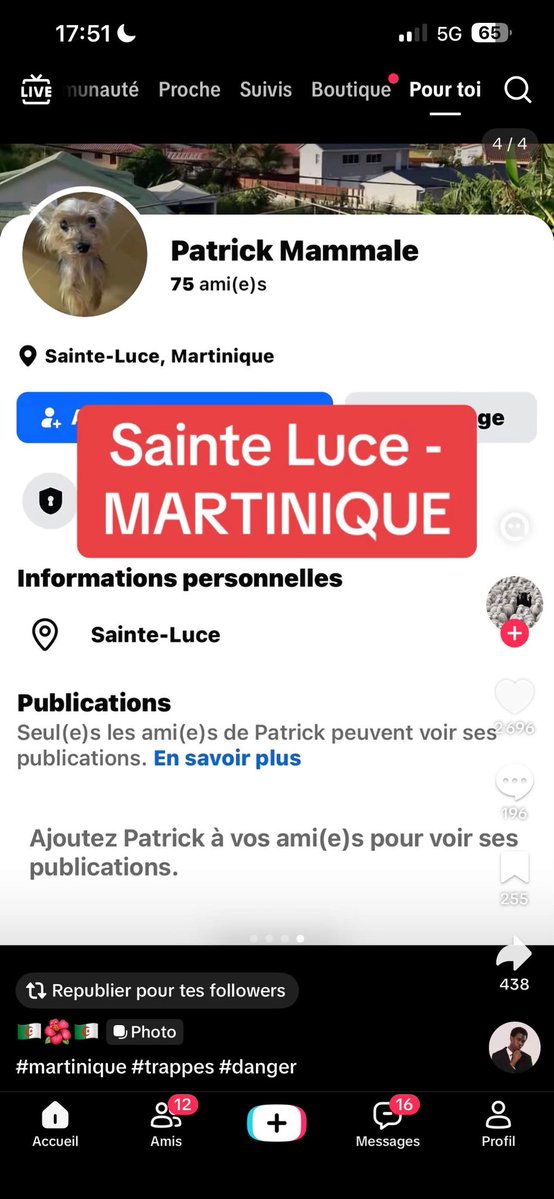 Vince97215's tweet photo. 🚨🚨🚨CES GENS-LÀ SONT RACISTES. ILS DÉTESTENT LES NOIRS, MAIS VIVENT EN TOUTE IMPUNITÉ SUR DES TERRITOIRES DE NOIRS, NOTAMMENT CHEZ NOUS, DANS LA CARAÏBE, EN MARTINIQUE ET EN GUADELOUPE EN PARTICULIER ❗️❗️❗️

POURQUOI CHOISIR DE VIVRE SUR DES TERRES PEUPLÉES MAJORITAIREMENT DE NOIRS SI C’EST POUR NOUS MÉPRISER, NOUS RABAISSER ET NOUS MANIFESTER DU RACISME❓

LA QUESTION MÉRITE D’ÊTRE POSÉE. POURQUOI❓