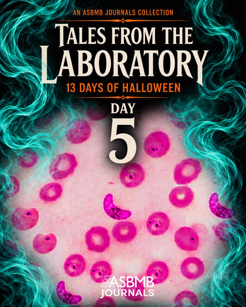 molcellprot's tweet photo. Day 5 of #TalesFromTheLab 🕵️ | Part 2 of the parasite story: lipid-tagged proteins that malaria parasites use while hiding in red blood cells, and how drugs can disrupt them.
https://t.co/nhB3s94swG 
#MolCellProt #ASBMBJournals #LipidResearch https://t.co/GONykc4RxY