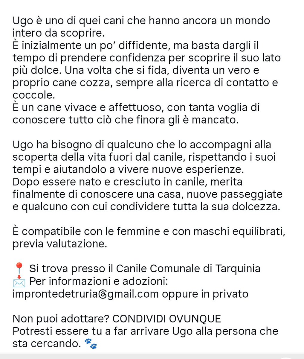 FiorellaArcodi1's tweet photo. Forza 💪🏻 per UGO basta un tuo retweet e magari cambi una vita https://t.co/NKwXJ4r3jp